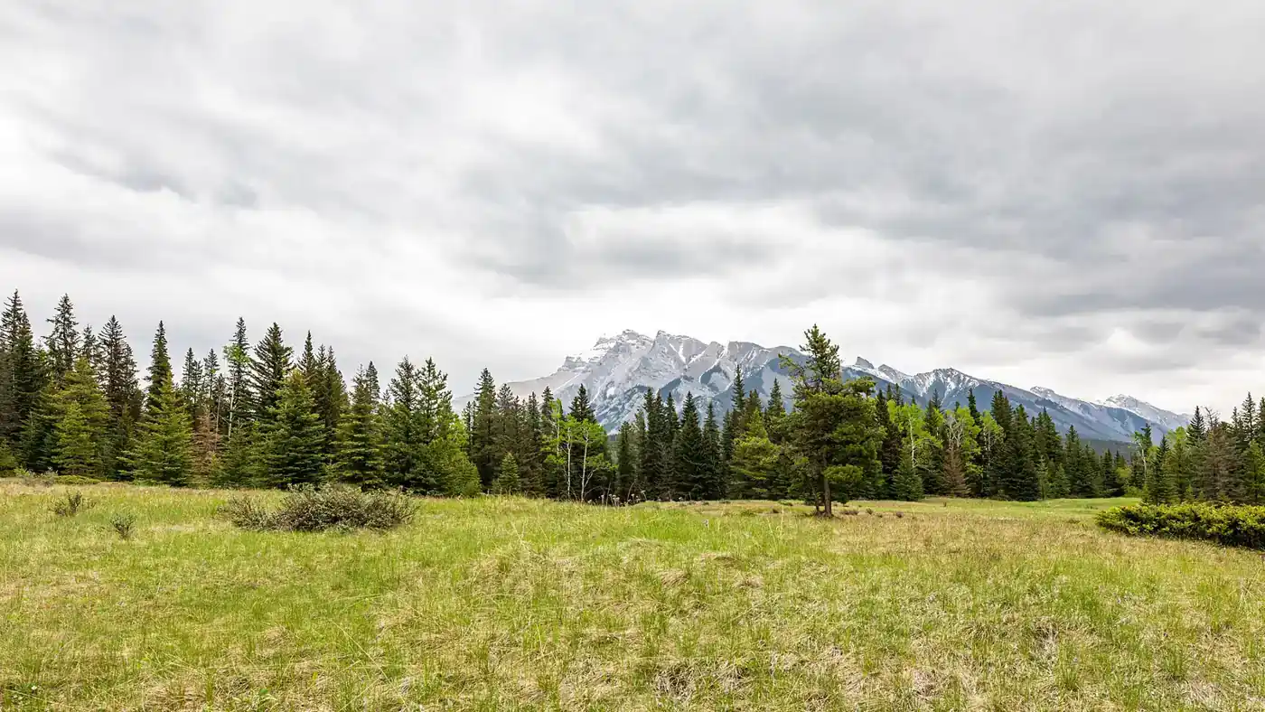 Banff National Park (AB, Canada), Bankhead, Upper Bankhead -- 2022 -- 2319