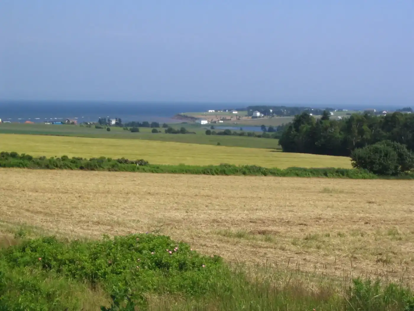 Paysage IPE 1