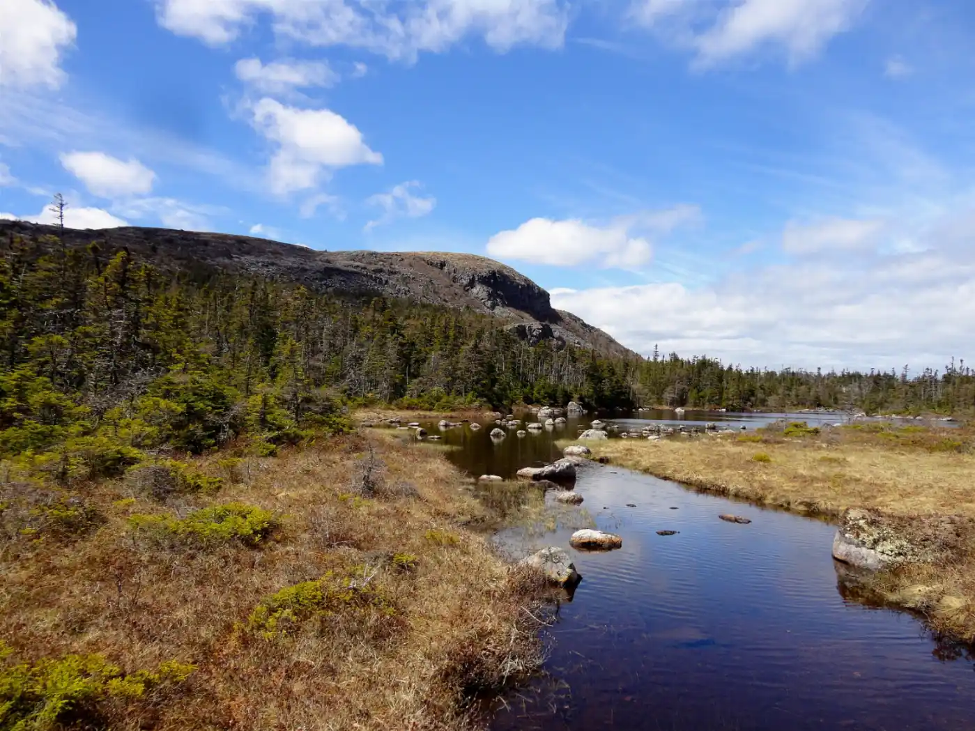 Butterpot Mountain, located in Butterpot Provincial Park, Salmonier, Newfoundland.jpg