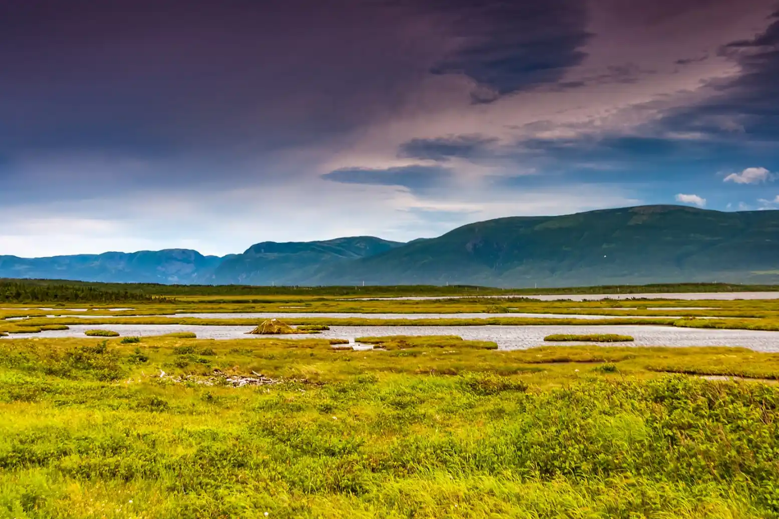 Landscapes Newfoundland (39555134780).jpg
