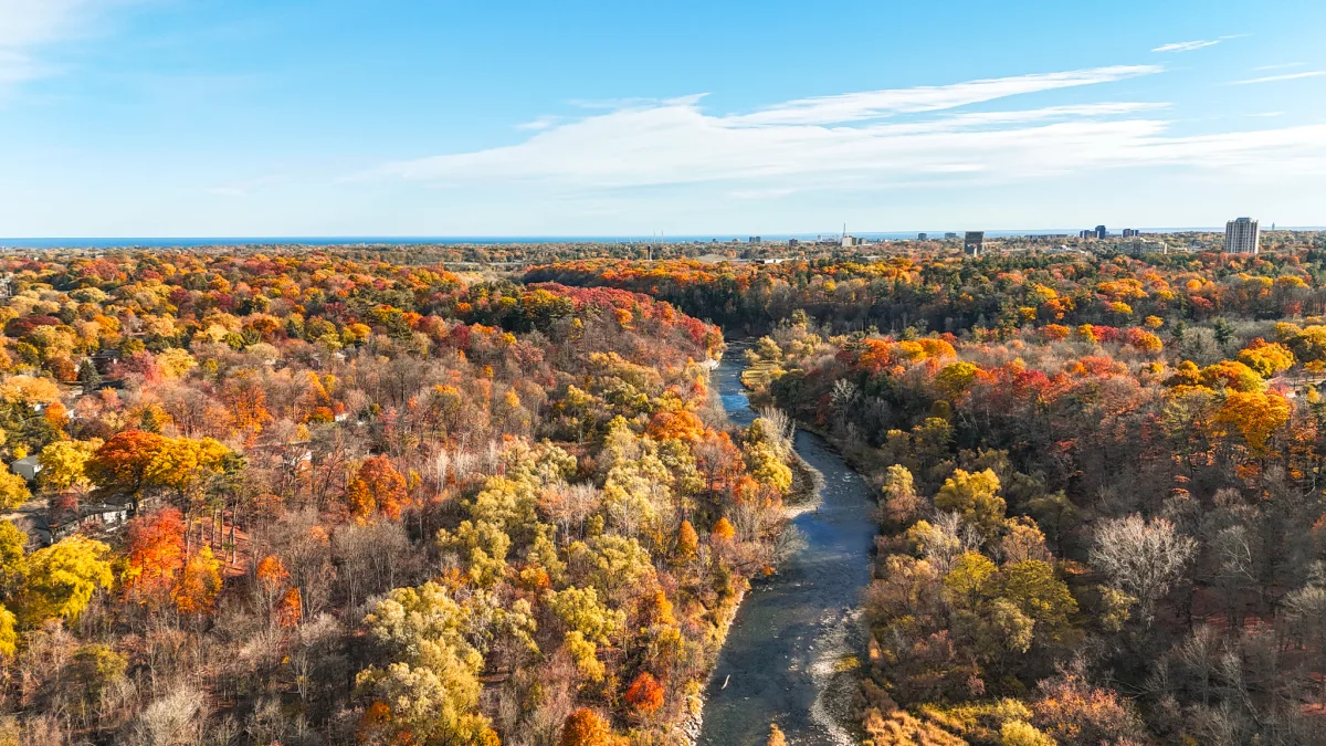 Mississauga’s fall colours return to parks and trails across the city