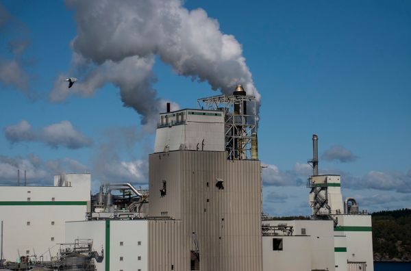J.D. Irving Pulp & Paper Factory 408 Mill Road Saint John New Brunswick (Canada) September 2017