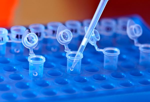 DNA lab