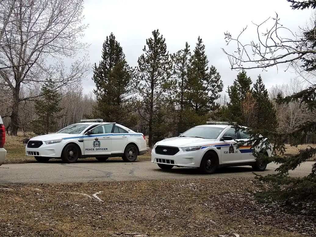 Two RCMP cruisers parked by a road in the trees