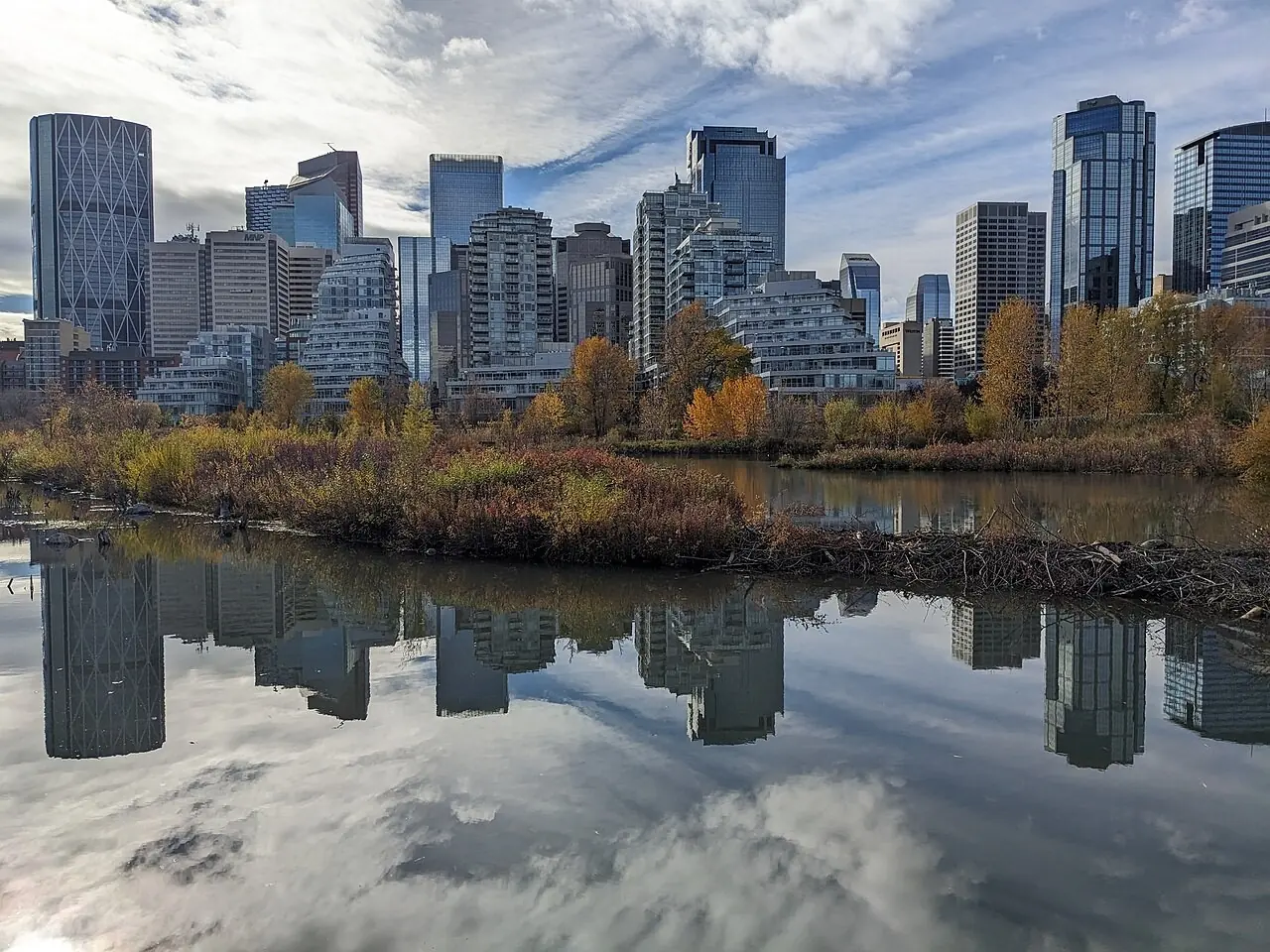 Downtown Calgary reflected in a pond at Prince's Island Park