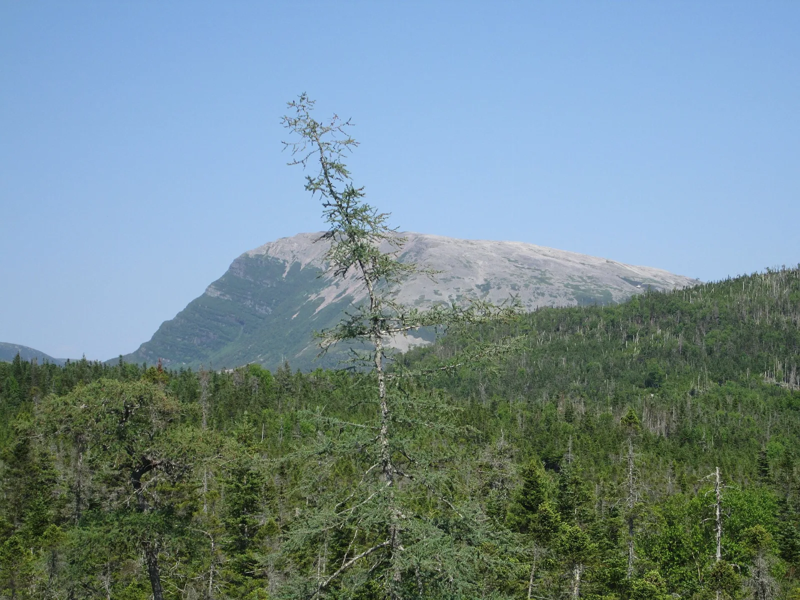 File:Gros Morne Mountain, Newfoundland (14588656563).jpg