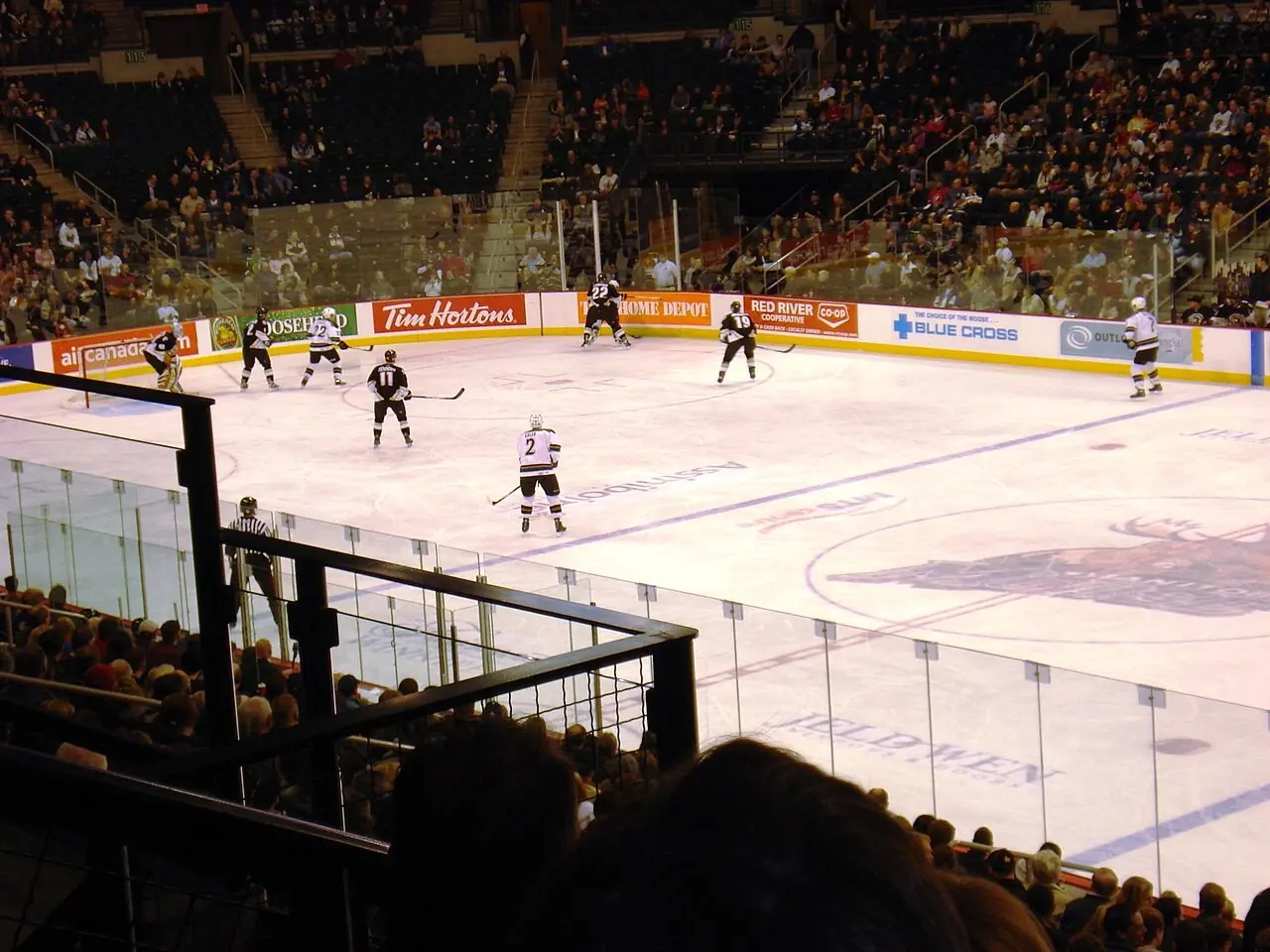 Manitoba Moose hockey game seen from the stands in Winnipeg