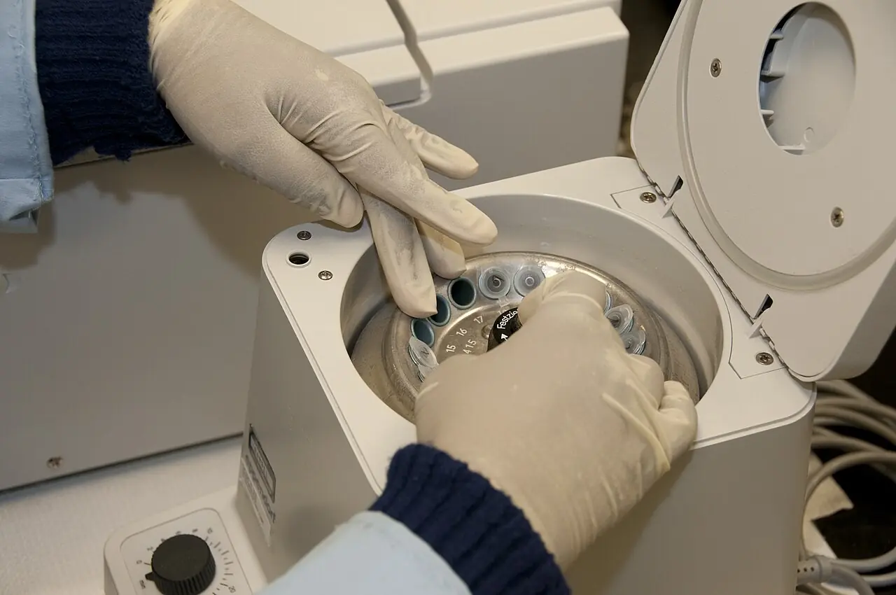 Gloved hands loading tubes into a centrifuge