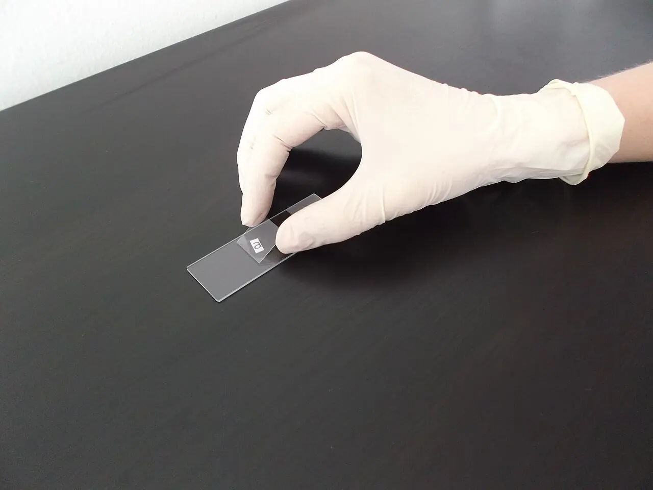 Gloved hand placing a cover slip on a microscope slide
